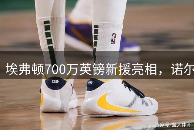 埃弗顿700万英镑新援亮相，诺尔高将为中场注入新活力